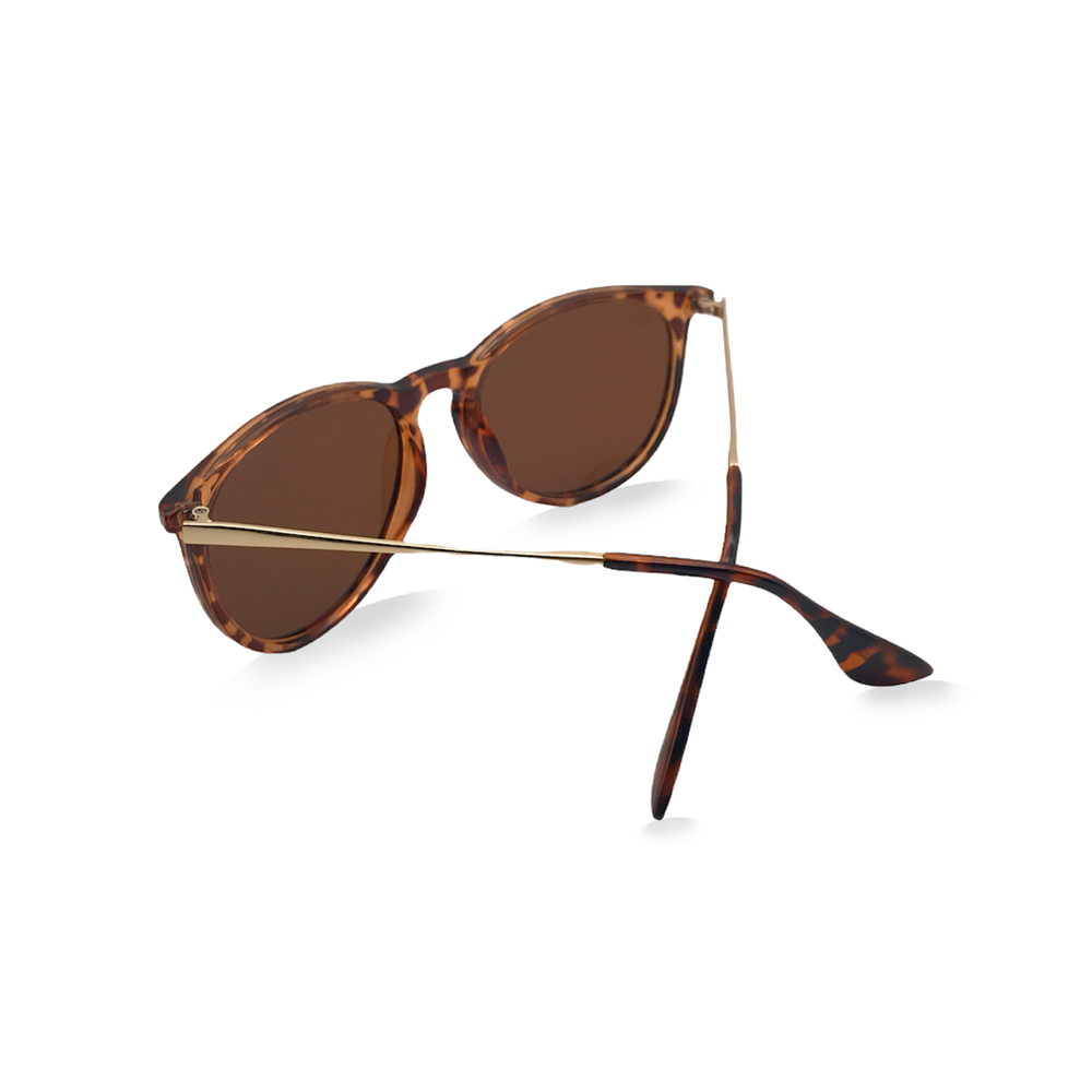 Matte Tort Rounded Sunglasses - Amber Polarized Lenses - Swoon Eyewear - Dunedin Back View